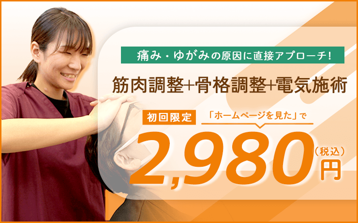 初回限定 2,980円 ご案内